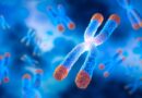Why Immortality is Bad for Us