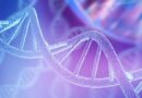 Genetics and the Environment: Epigenetics in Rheumatism